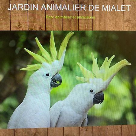 Mialet La Magnanerie公寓 外观 照片