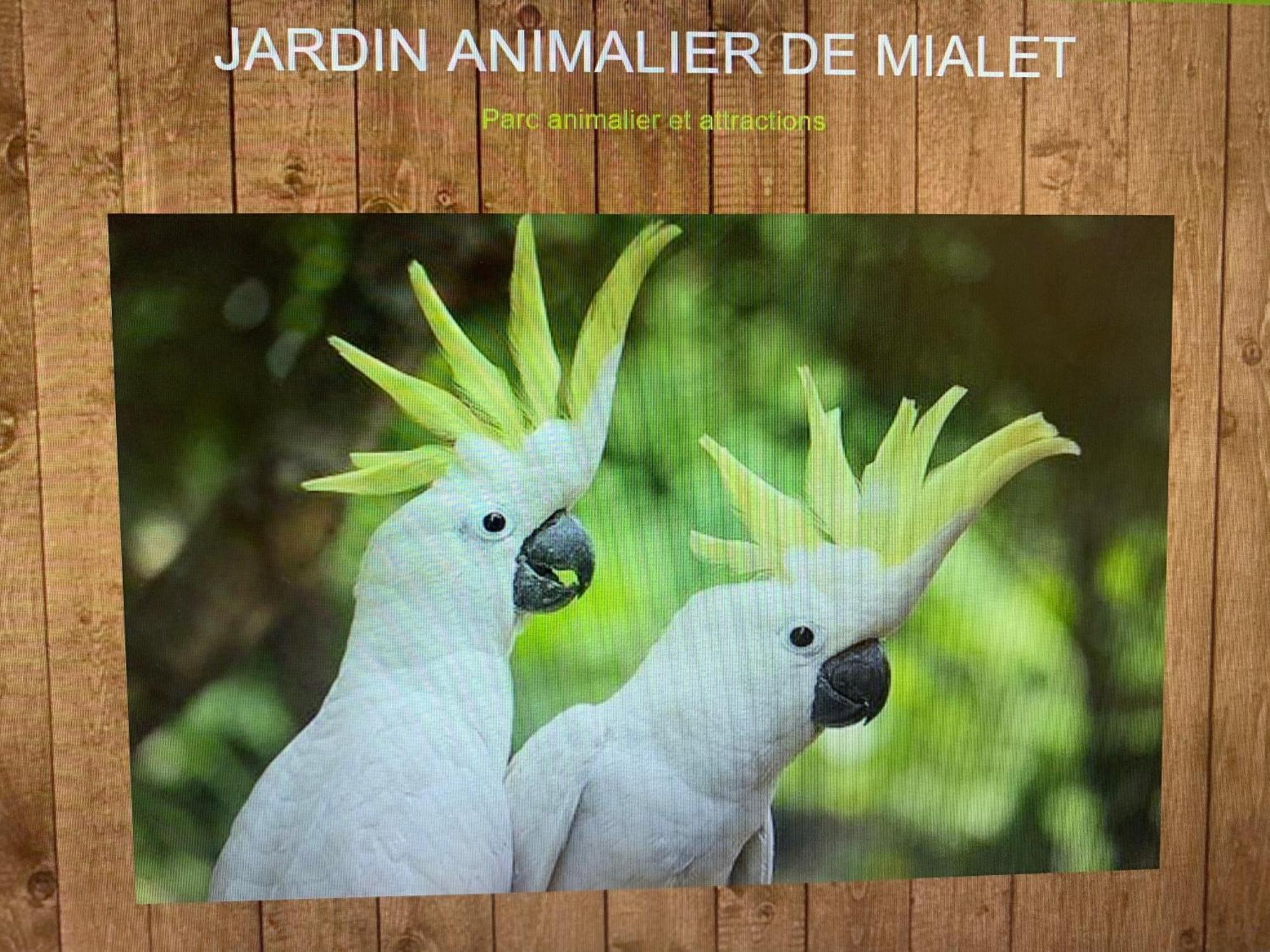 Mialet La Magnanerie公寓 外观 照片